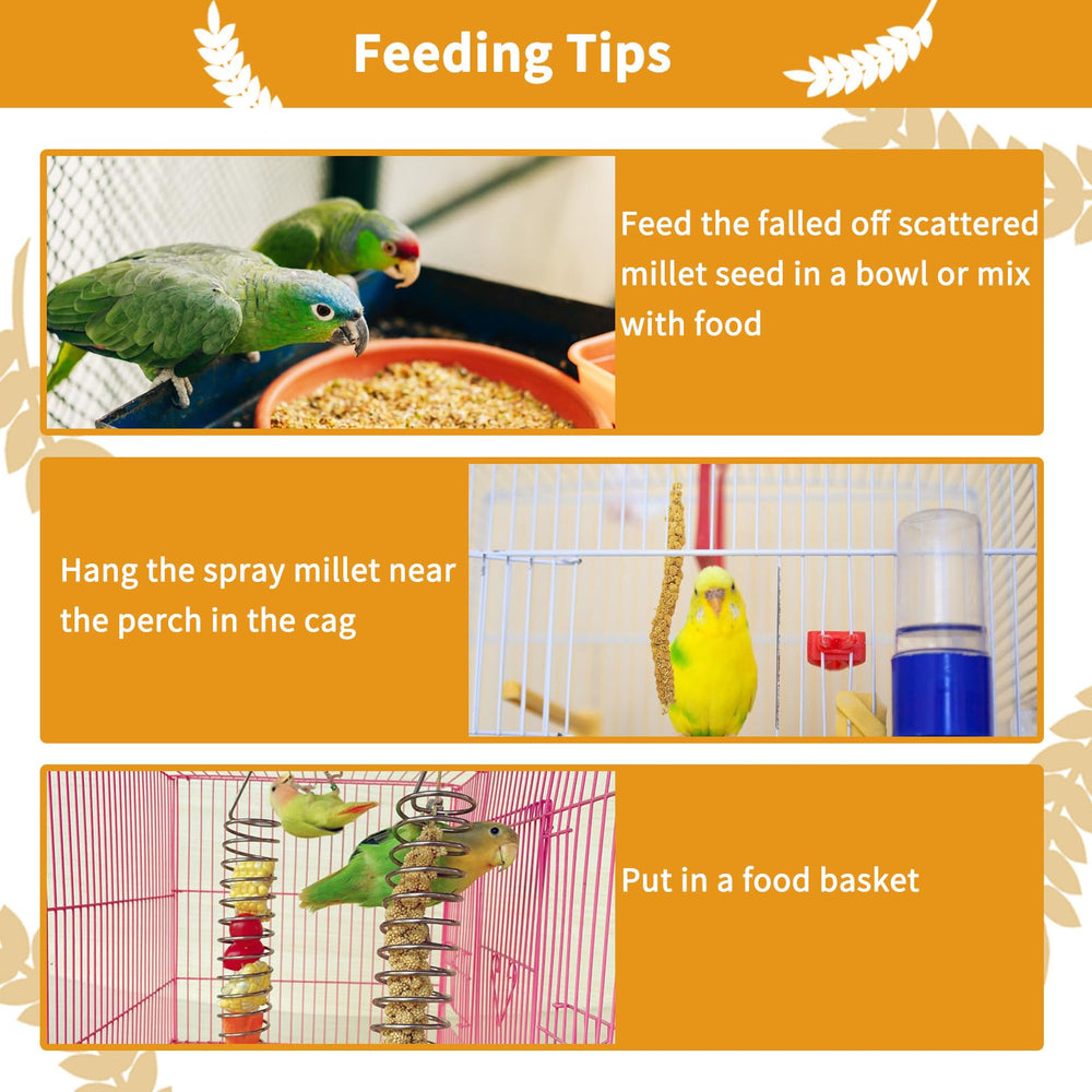 Kathson wild-grown millet sprays—fresh, large plump stems ideal for birds' enrichment.