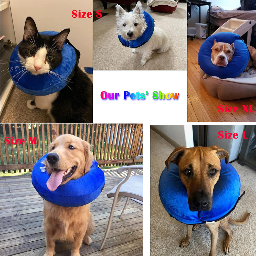 Katoggy collar's washable outer cover simplifies cleaning and storage