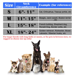 Katoggy inflatable dog cone collar wearability shows pet eating and resting comfortably.