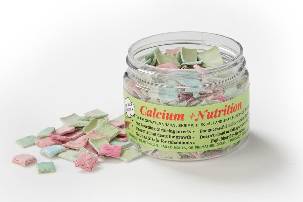 KatsAquatics calcium tablets sinking action aids bottom feeders in tanks.