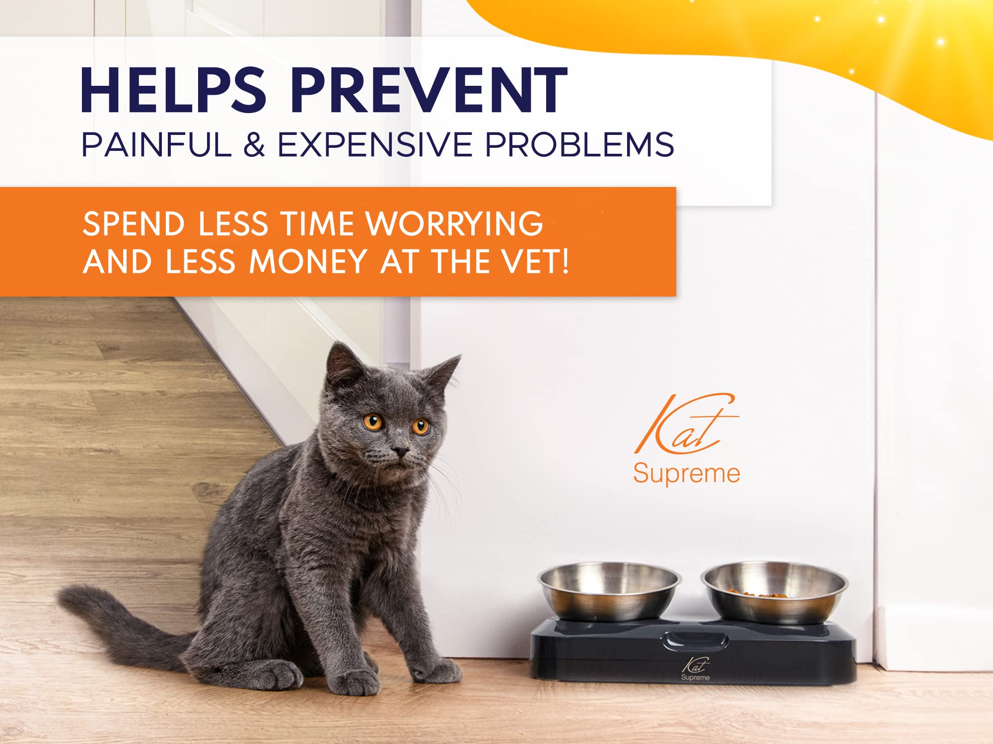 Katsupreme ant-proof food bowls protect food from insects