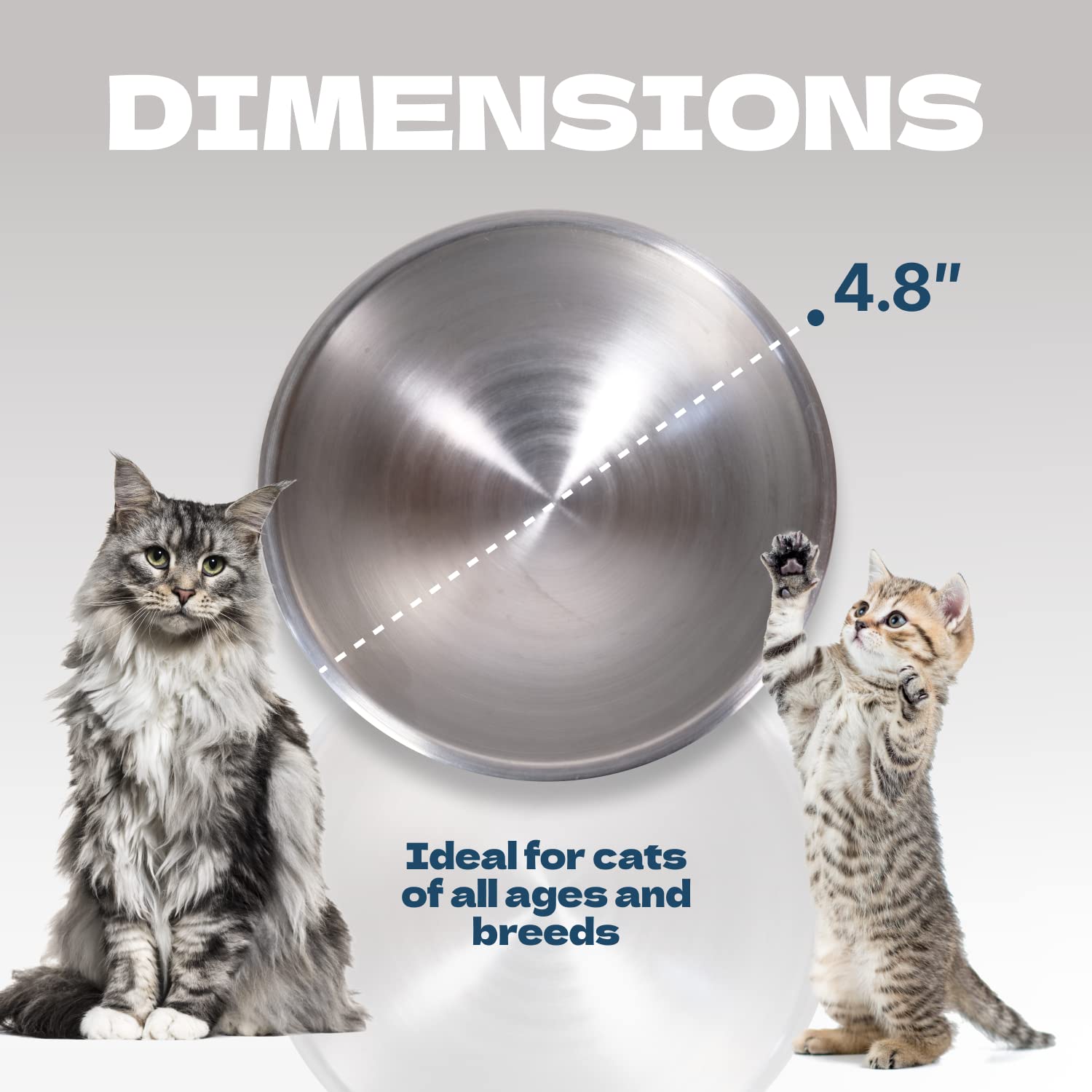 KatSupreme stainless-steel bowls polished, durable, and easy to clean.