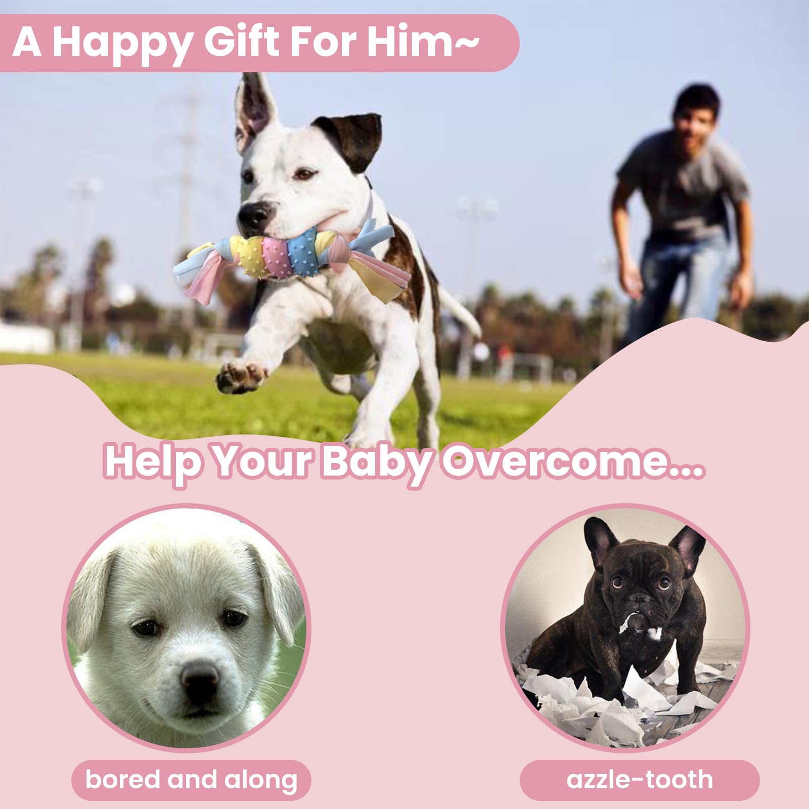 kattypet puppy teething pack-shot: 4-pack variety for different chewing moods.