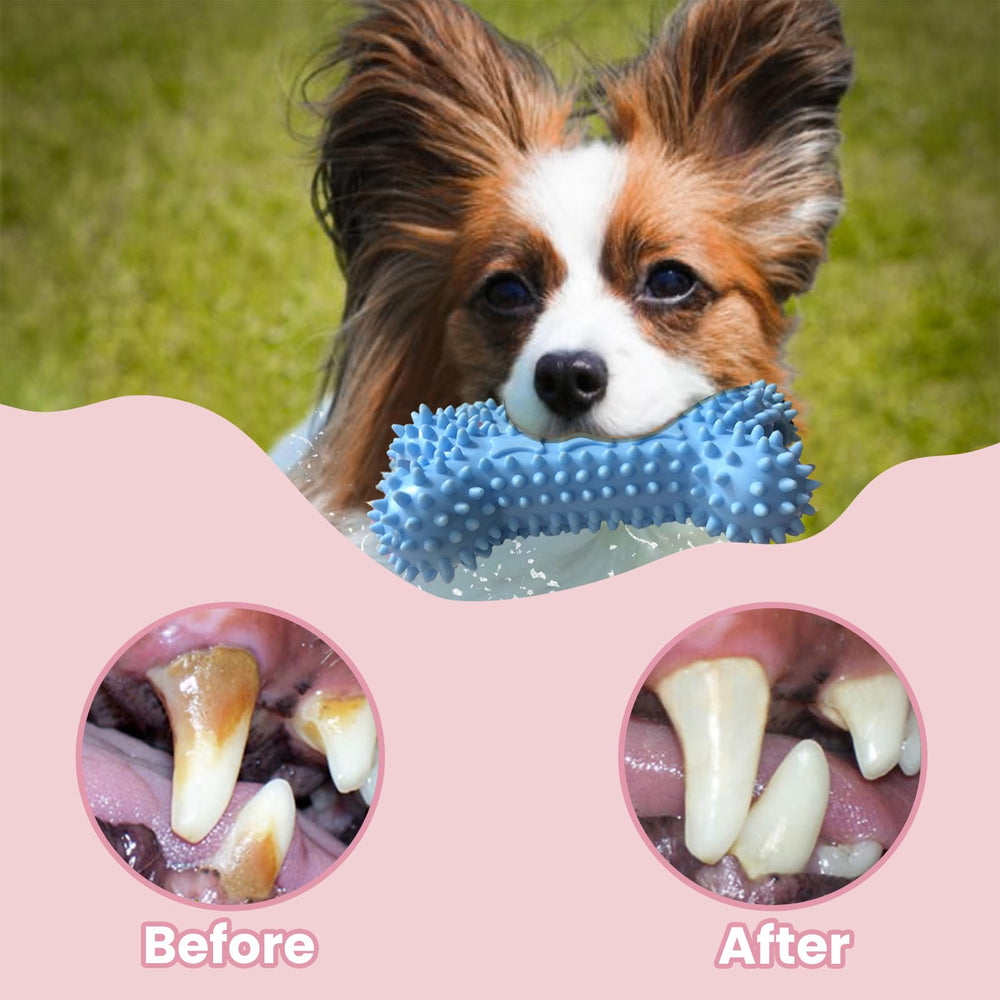 kattypet Puppy Toys close-up pink rubber texture for long-lasting chew