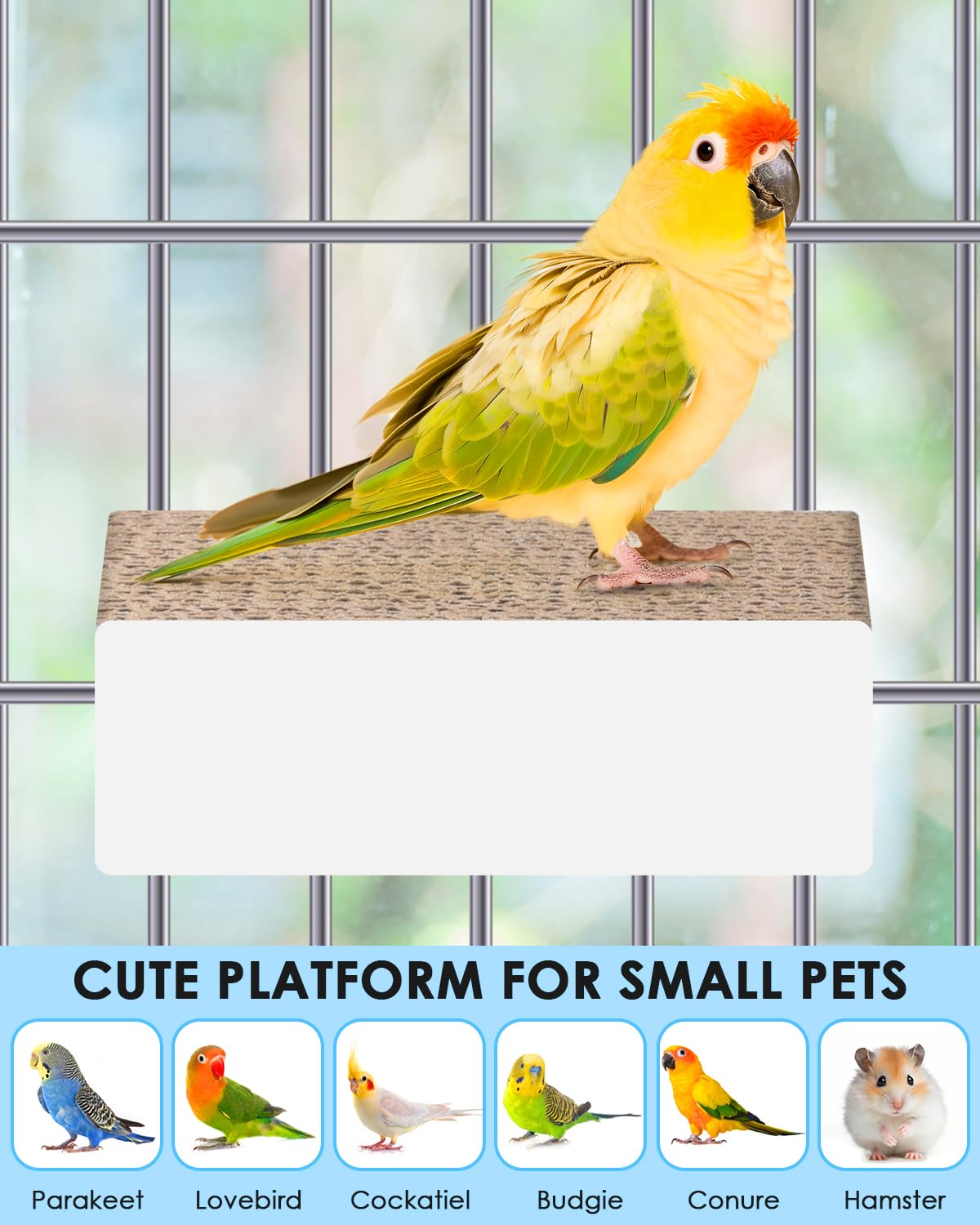KATUMO 4-7-Inch-Perch-Enrichment offers spacious resting area for claws.