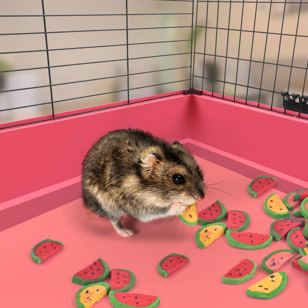 KATUMO Beet Carrot Pumpkin Chew highlights natural ingredients and flavor variety.