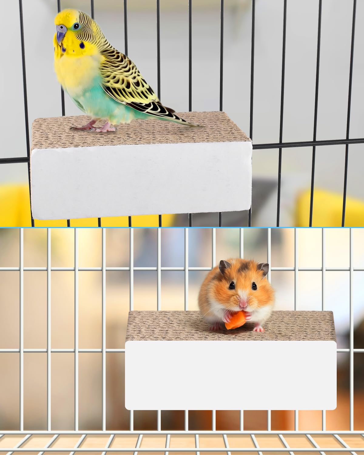 KATUMO Bird-Cage Toy-Secure-Assembly shows easy cage mounting with wing nuts.