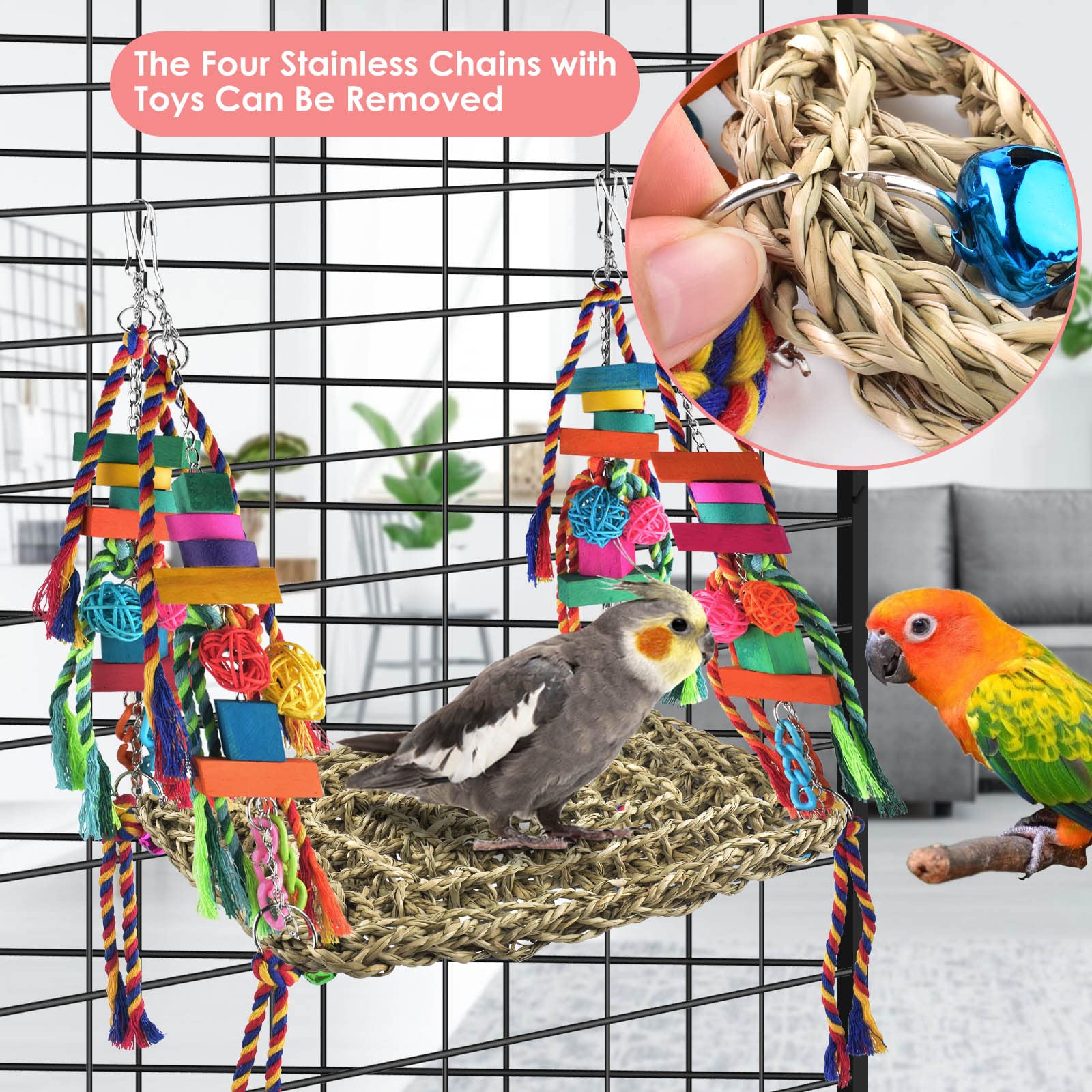 KATUMO bird room setup shows easy hanging inside or outside cages for versatility.