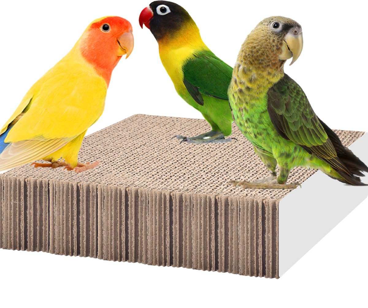 KATUMO bird toy shredding platform close-up for safe chewing and enrichment.