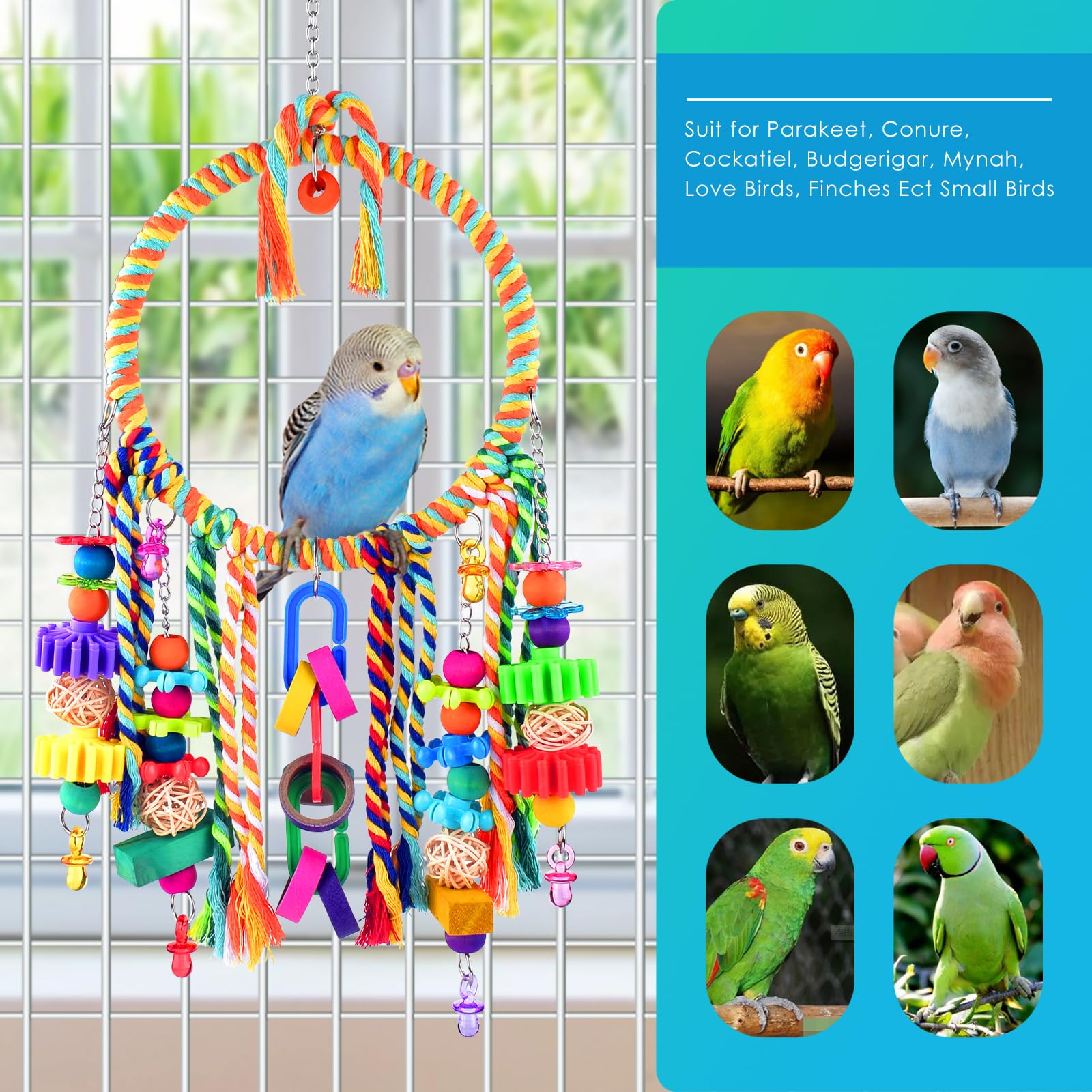 KATUMO cage decor photo showcases bright, engaging setup for cage aesthetics.