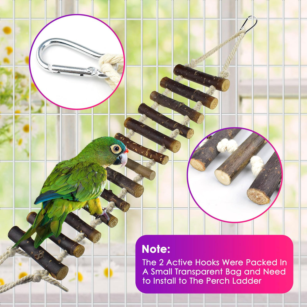 KATUMO colorful chewing toys promote beak health through playful nibbling.