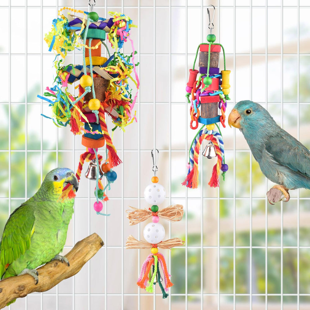 KATUMO foraging materials attract attention and encourage exploration.
