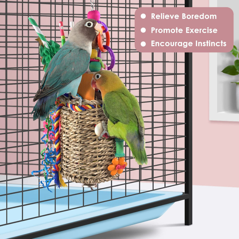 KATUMO parrot shredding moment for engagement