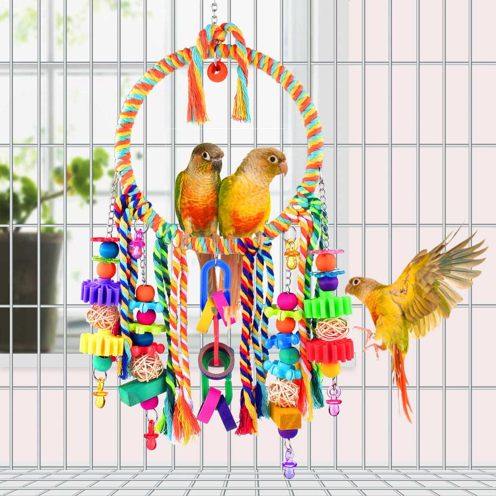KATUMO small bird playing image captures climbing and spinning activity.