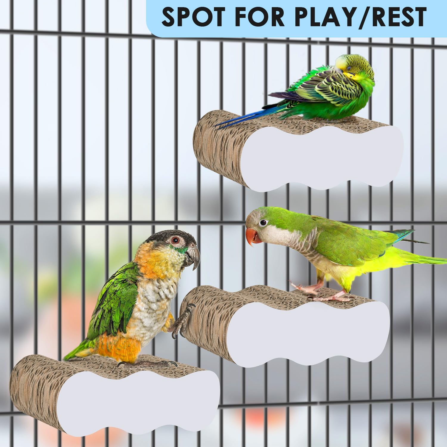 KATUMO cage-fit image demonstrates compatibility with small parrot cages for enrichment.