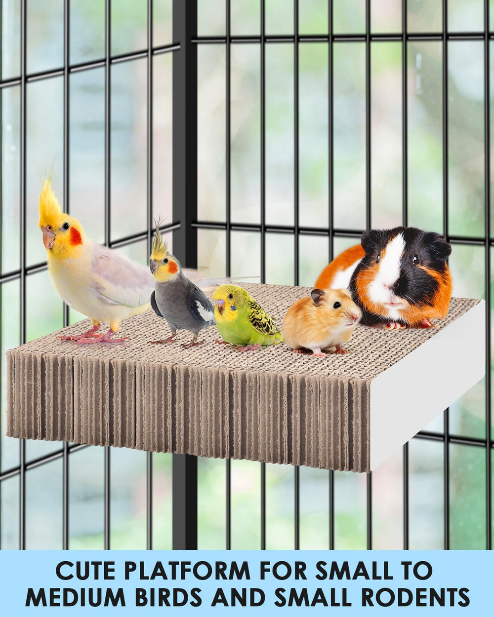 KATUMO cage mount with wing nuts and bolts for secure setup.