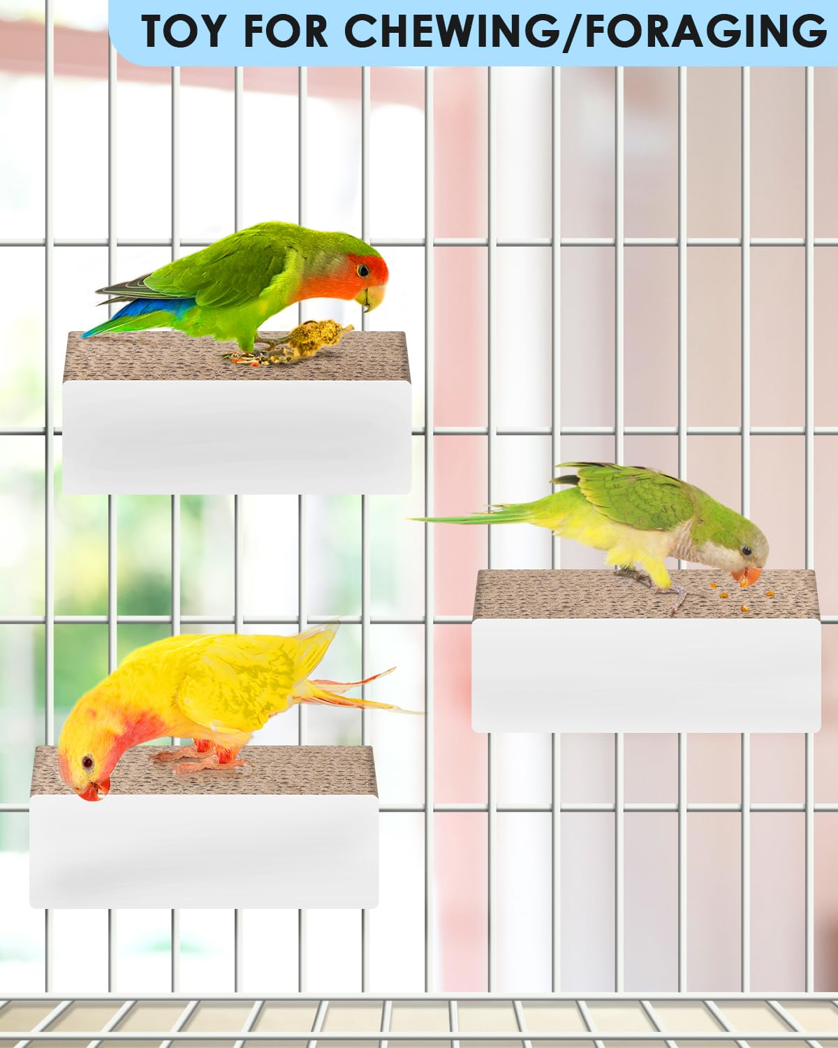 KATUMO Cardboard-Perch-Habitat provides multi-use perch, chew, and feeder.