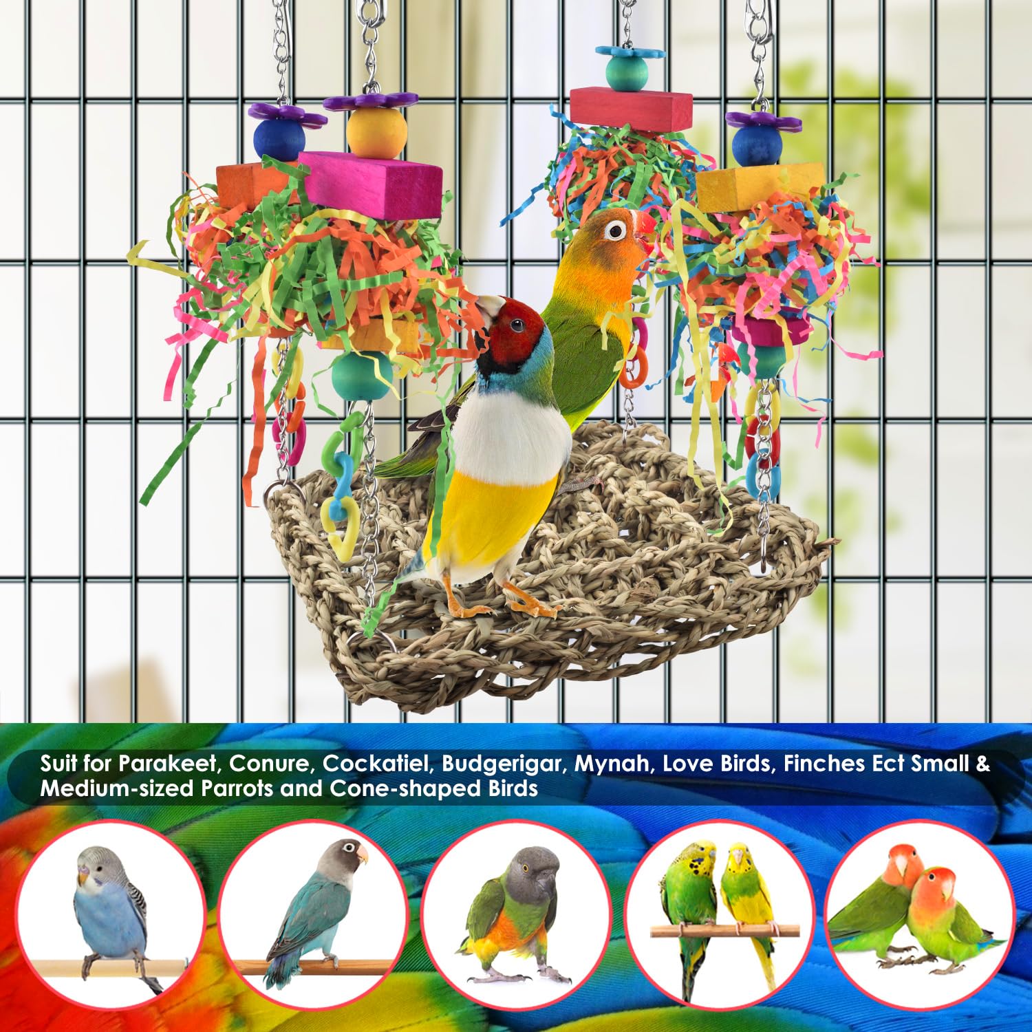 KATUMO Conure Toys elevated perch design invites exploration and natural climbing instincts
