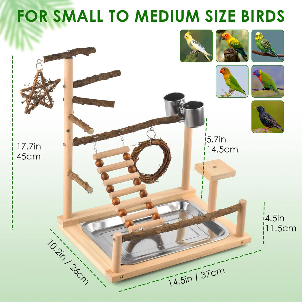 KATUMO easy-assembly bird stand supports quick setup and stable play.