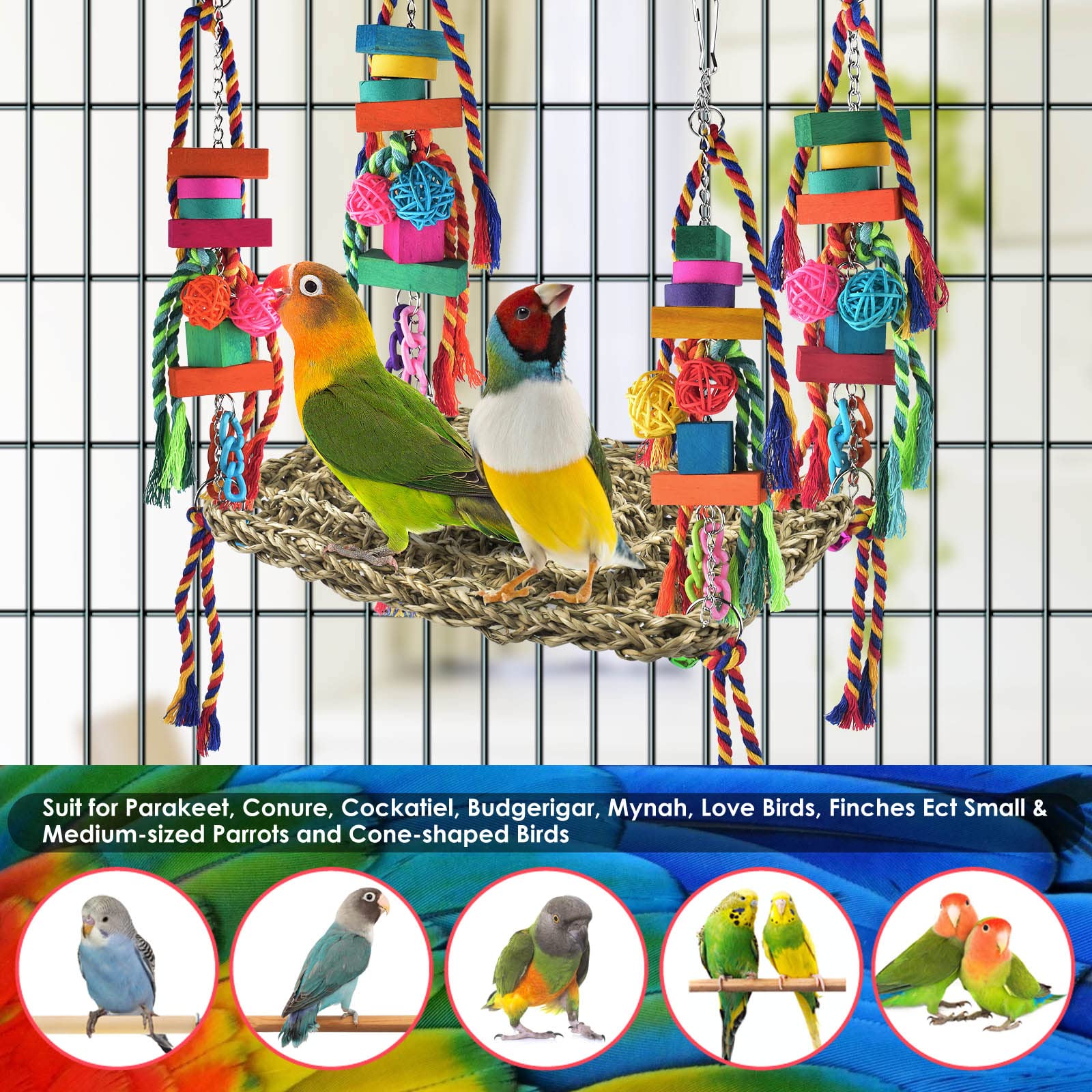 KATUMO elevated perch design invites birds to explore and exercise while perched.