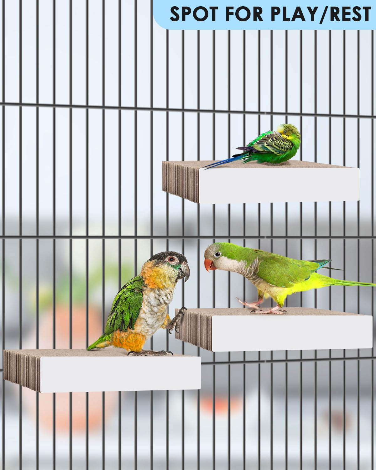 KATUMO flat perch view highlighting comfortable claw position.