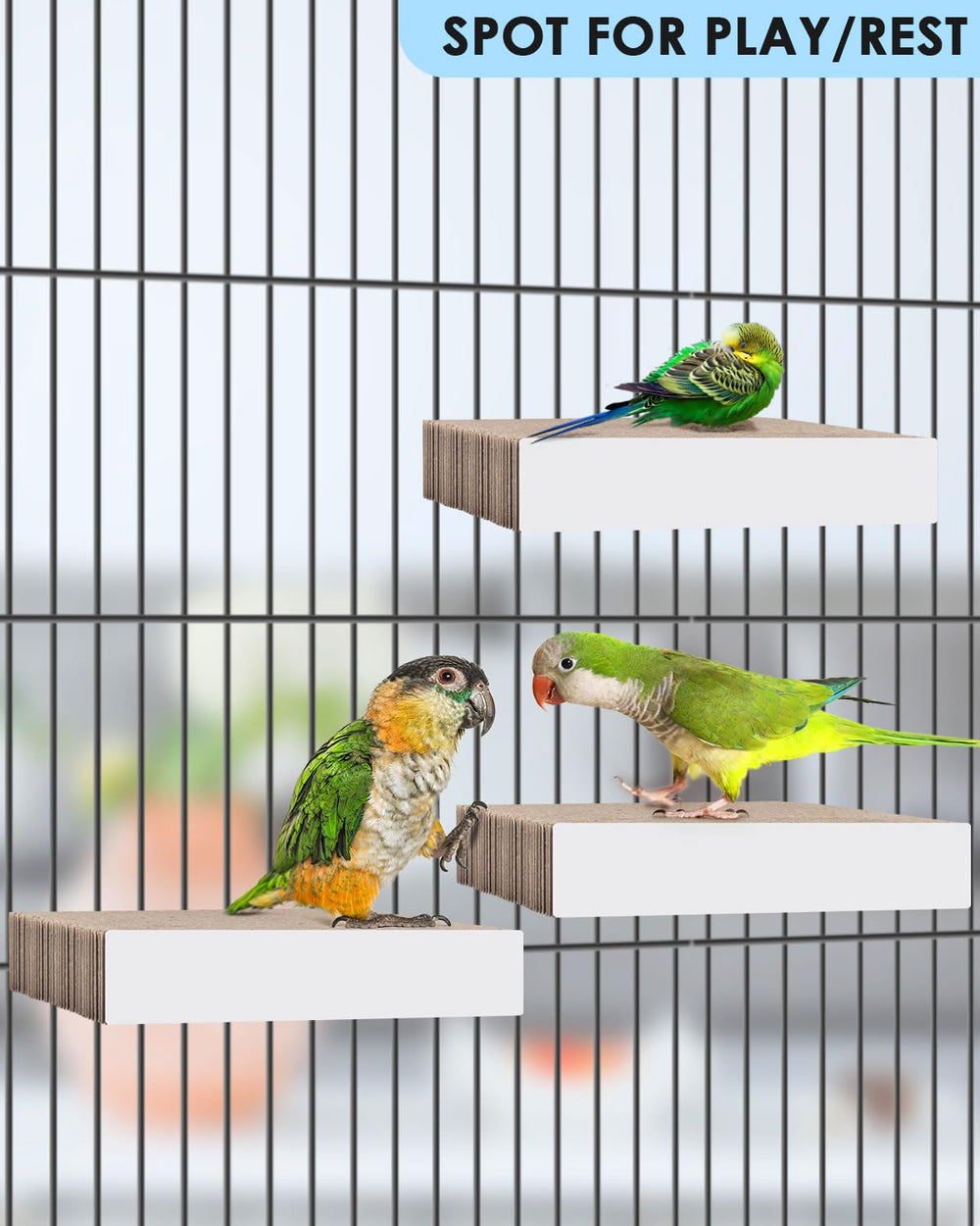 KATUMO flat perch view highlighting comfortable claw position.