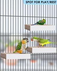KATUMO flat perch view highlighting comfortable claw position.