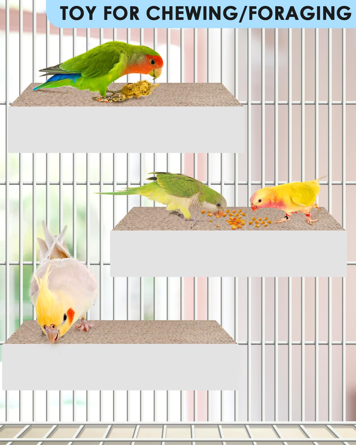 KATUMO foraging stand with treats demonstrating enrichment possibilities.
