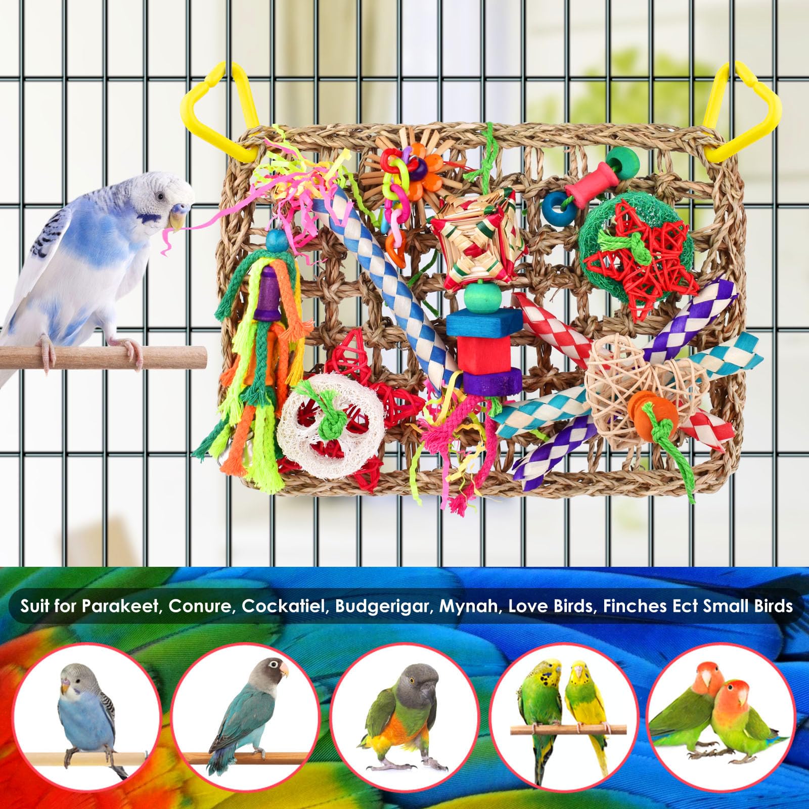 KATUMO grass mat creates a lively bird playground in the cage.