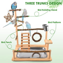 KATUMO parakeet ladder and swing setup promotes climbing, enrichment, and engaging flight.