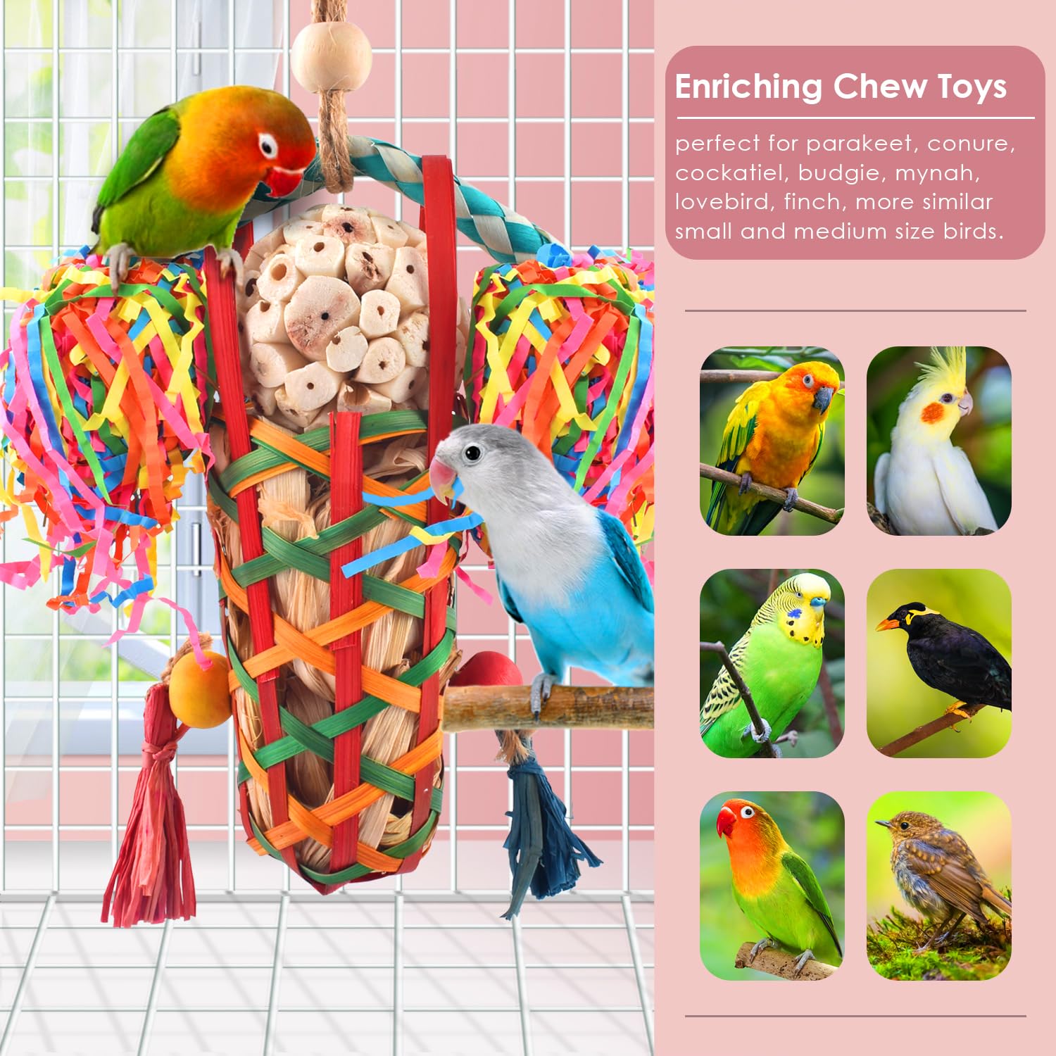 KATUMO parrot climbing design invites active play and movement.