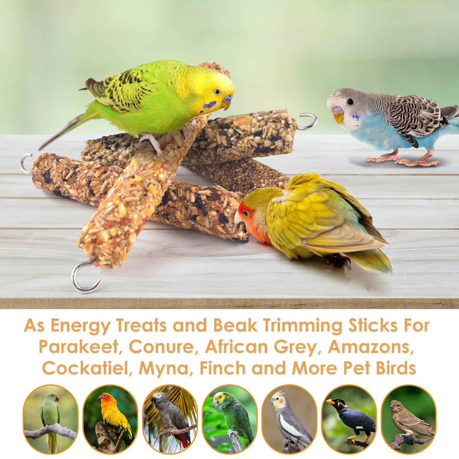KATUMO Parrot Treats enrichment in cage scene for interactive feeding.
