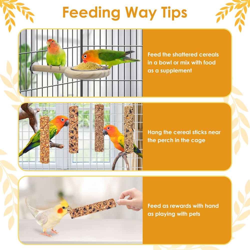 KATUMO Parrot Treats training and play shot demonstrates easy daily feeding.