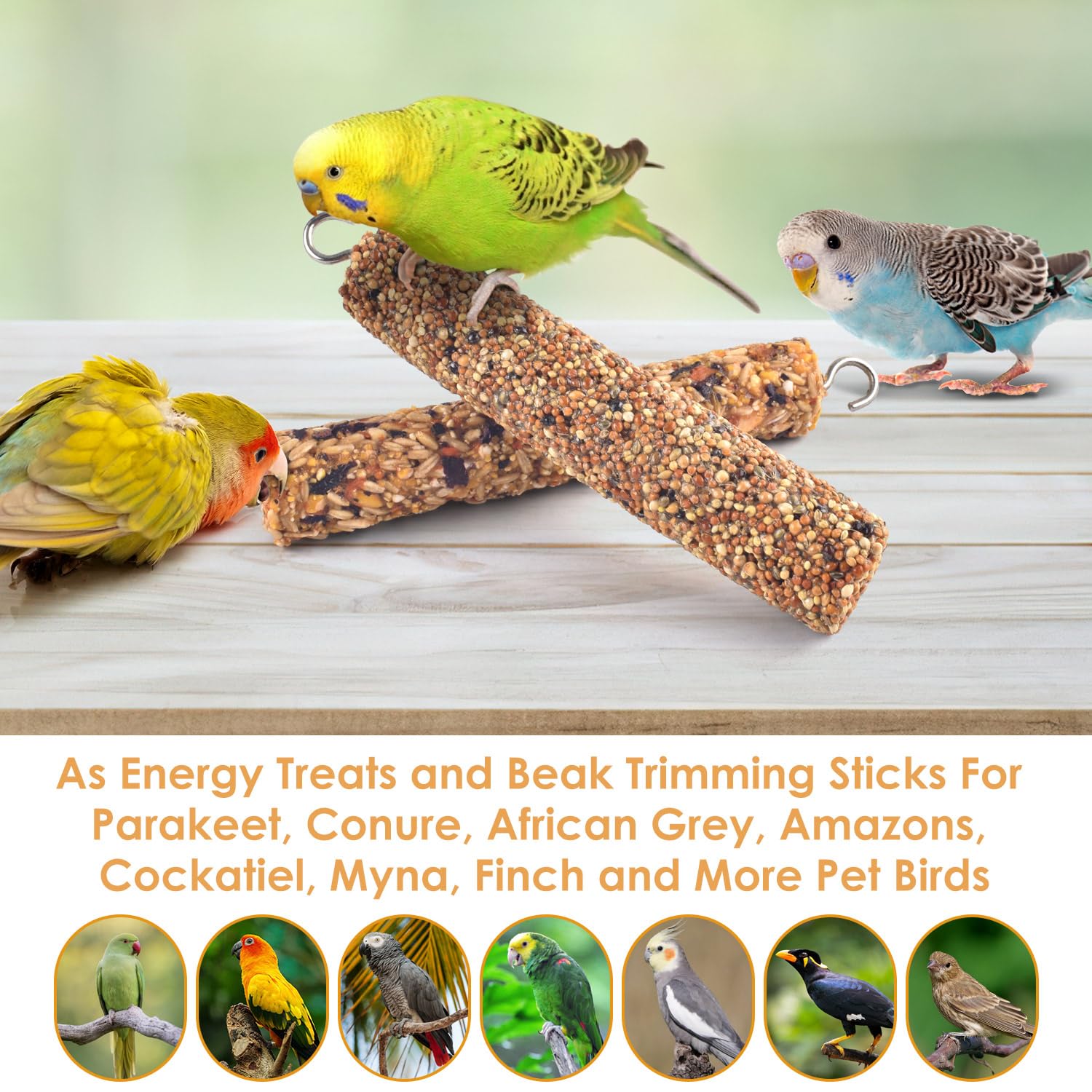 KATUMO Parrot Treats suitable for training rewards and daily feeding