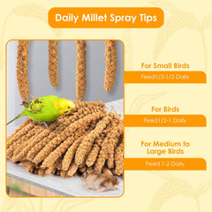 KATUMO millet granules ready to snack during playtime and training.