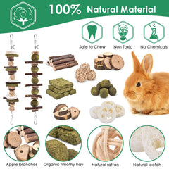 KATUMO Rabbit Chew Toys Timothy Grass Balls—fiber-rich treats for digestive comfort.