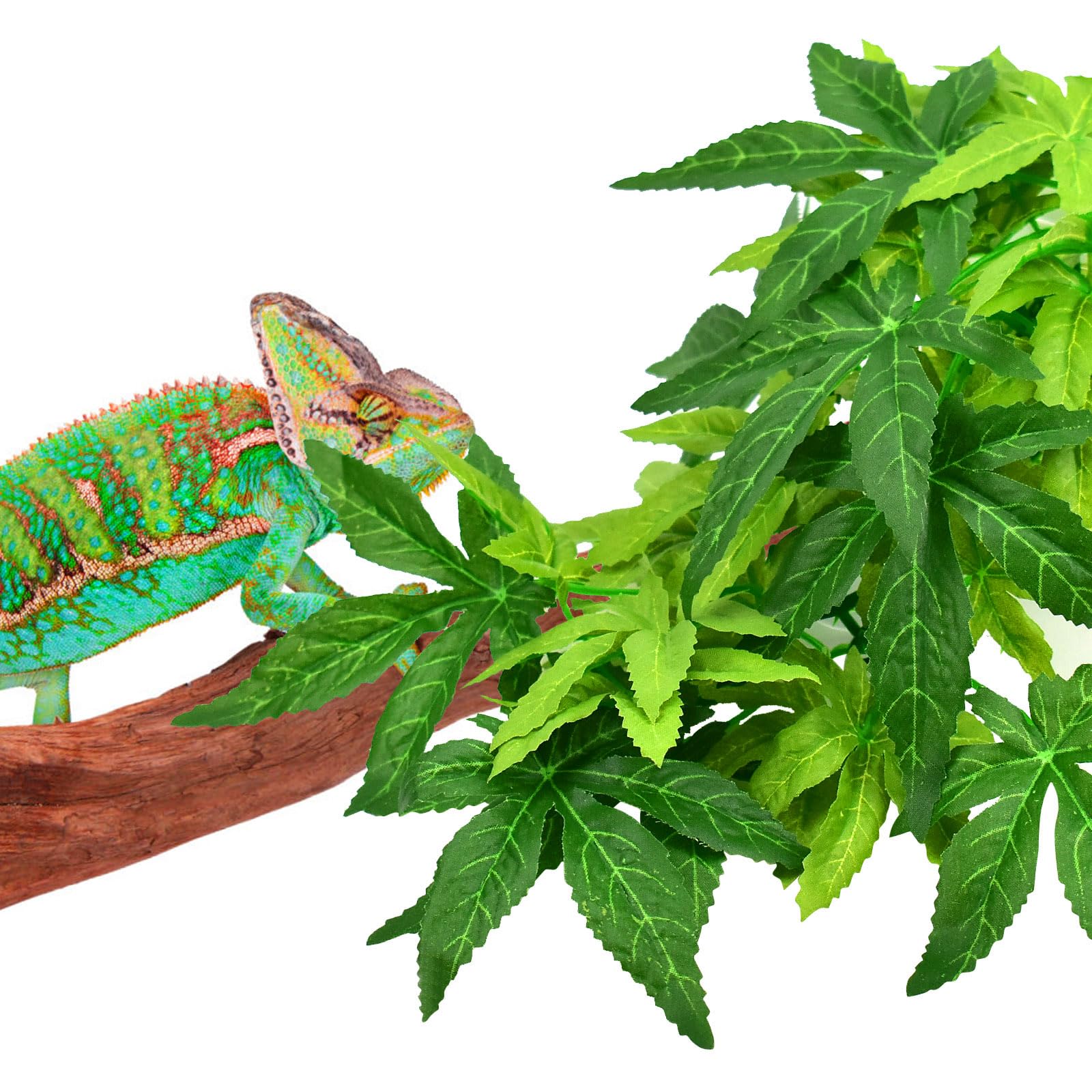 KATUMO reptile plants easy-cleaning with warm water for maintenance.