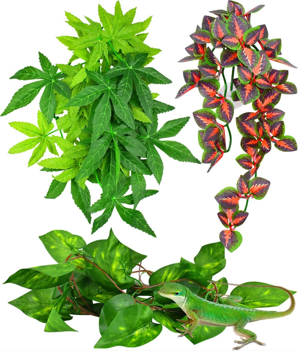 KATUMO reptile plants hanging with suction cups for secure terrarium decor.