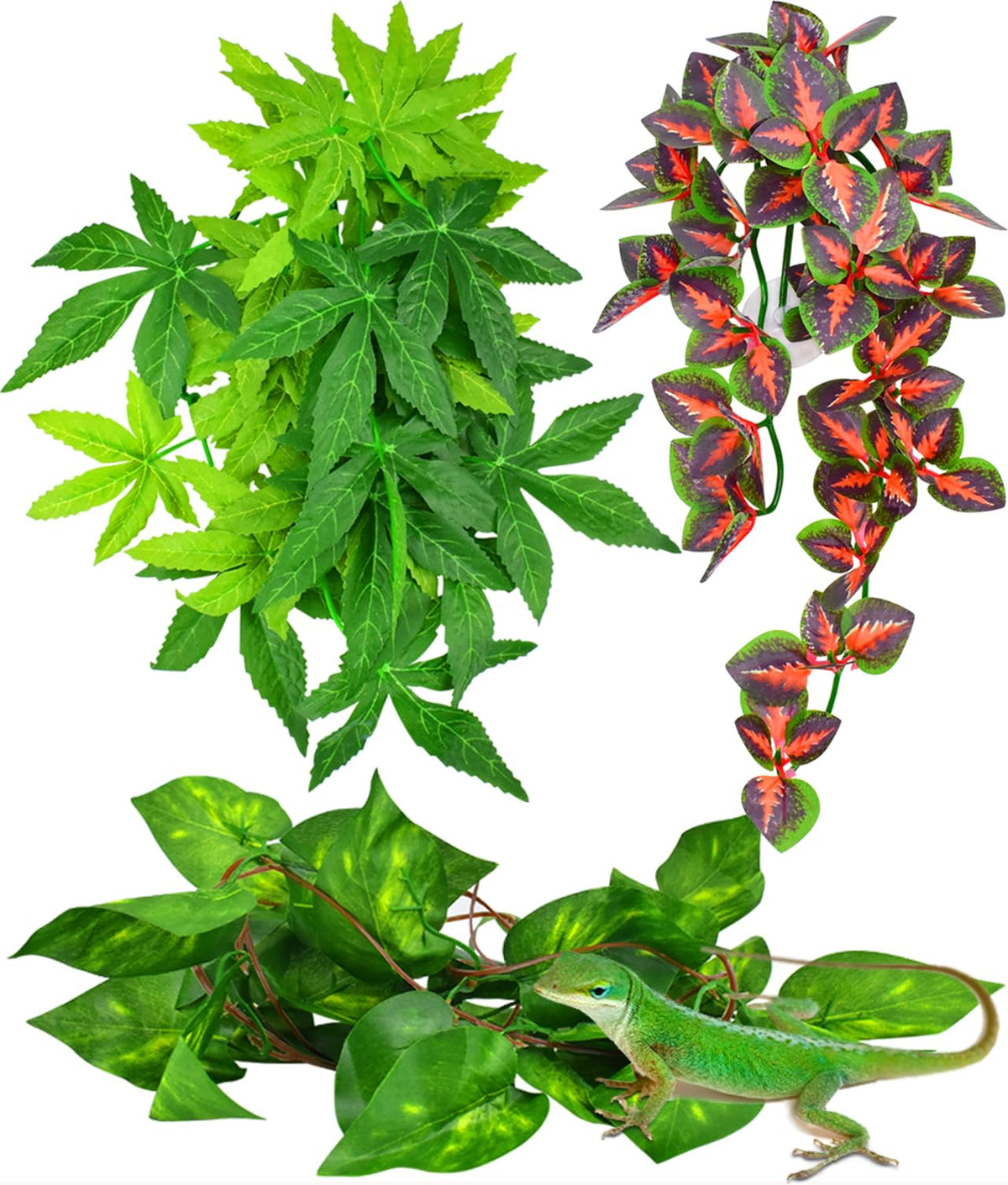 KATUMO reptile plants hanging with suction cups for secure terrarium decor.
