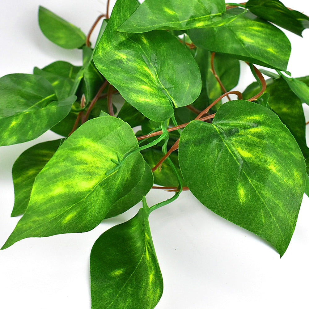 KATUMO reptile plants realistic colors resist fading in humid terrariums.