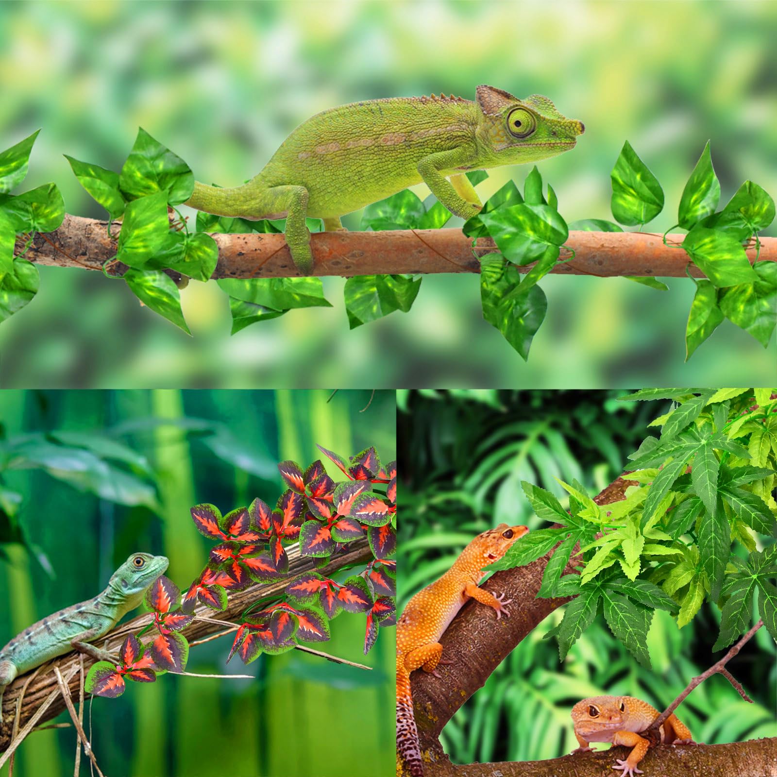 KATUMO reptile plants suction cups attachment ensures stable installation.