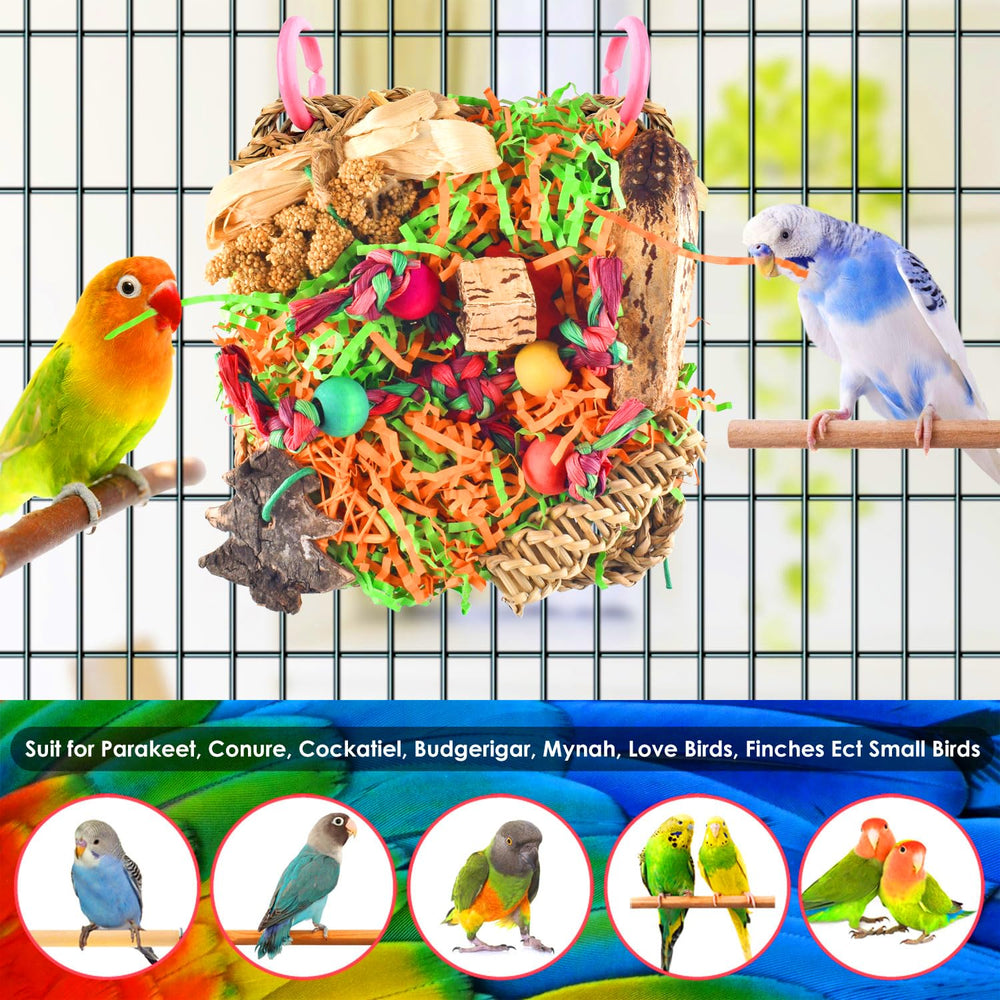 KATUMO decorative habitat accessory doubles as a functional enrichment toy