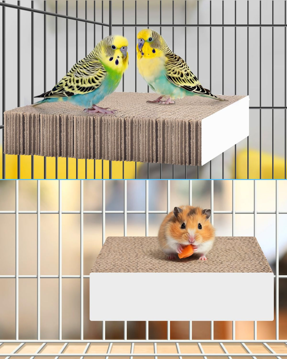 KATUMO small-bird toy multi-use setup for chew, perch, and play.