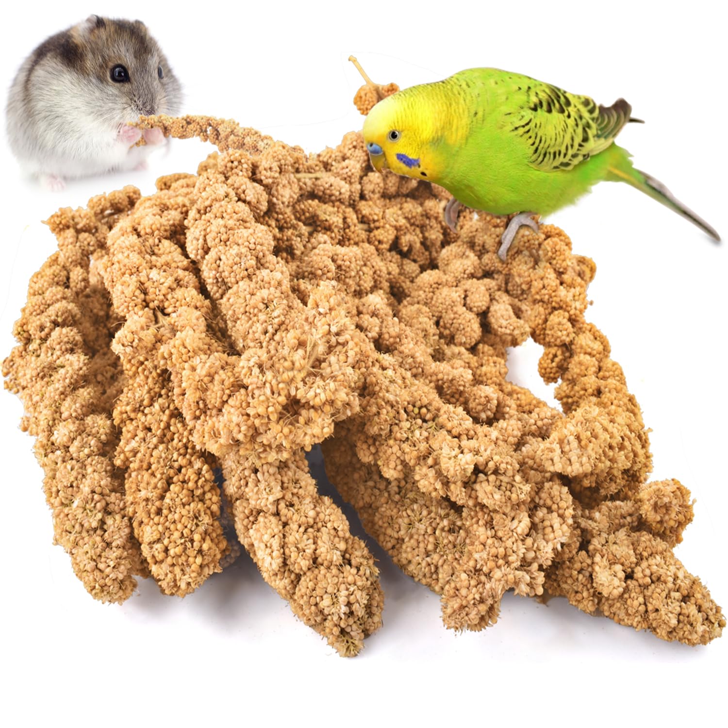 KATUMO spray millet bottle for daily feeding and gentle training.