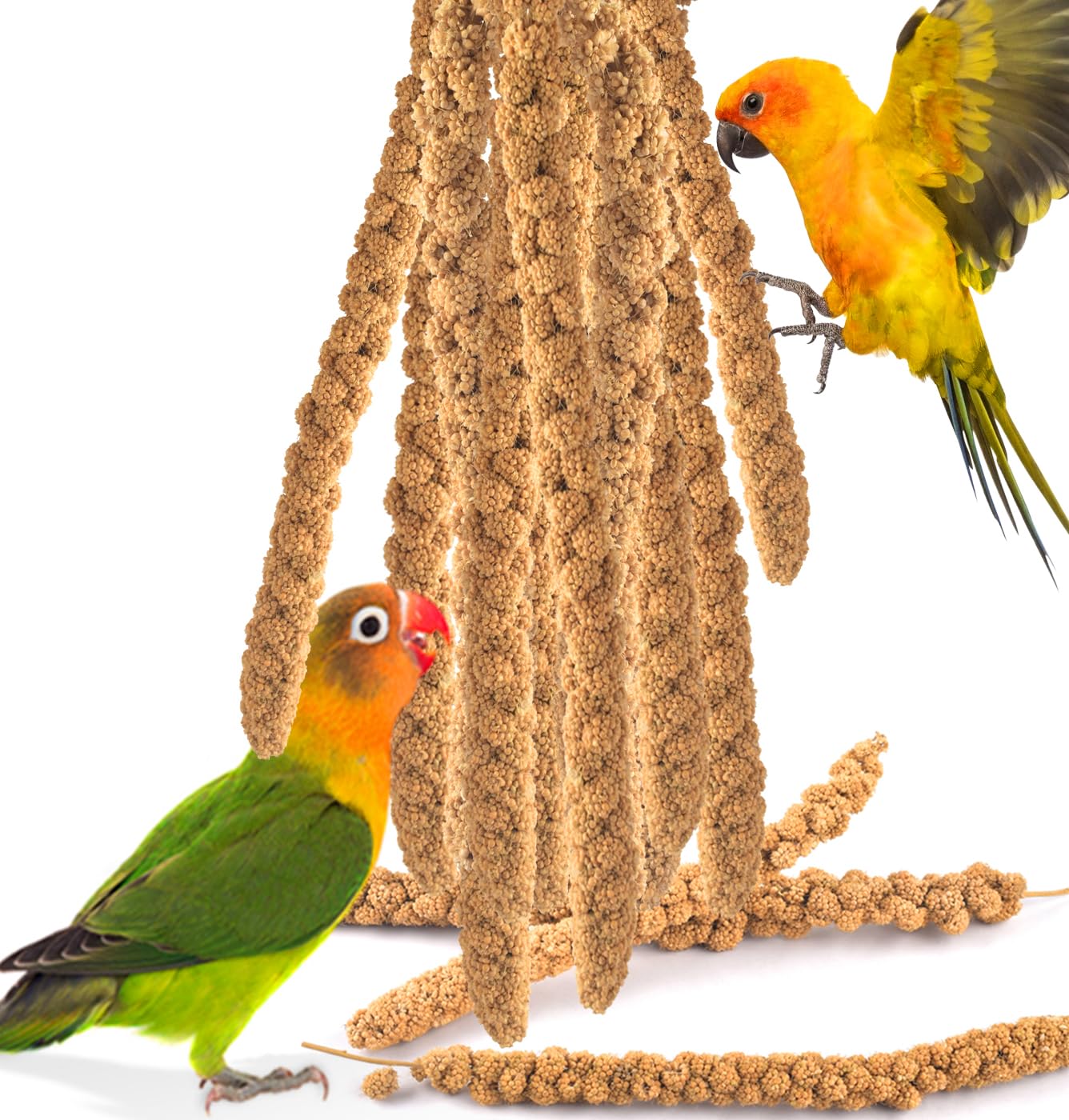 KATUMO Spray Millet Treats 7oz packaging shown for easy feeding and daily rewards.