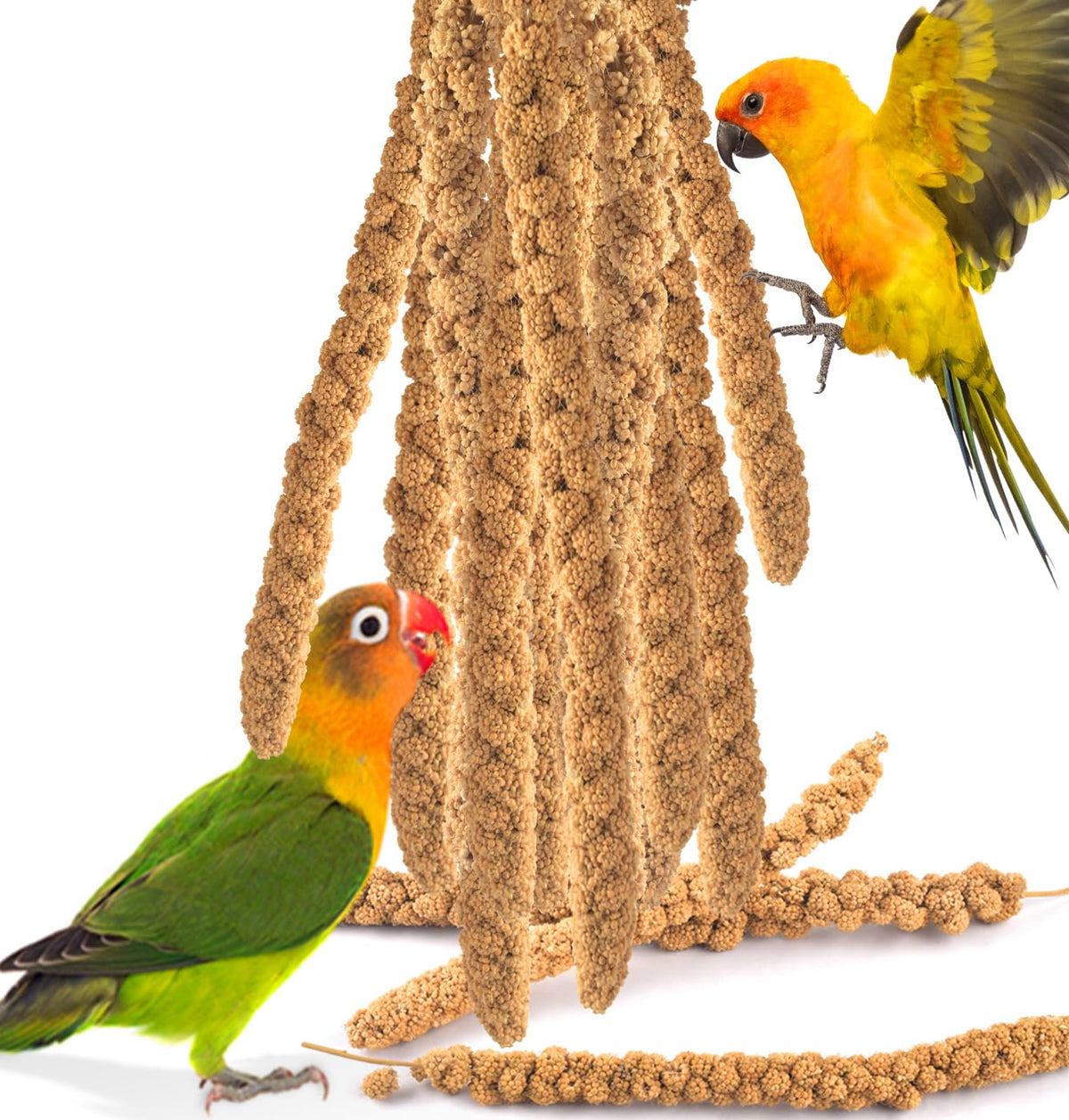 KATUMO Spray Millet Treats 7oz packaging shown for easy feeding and daily rewards.