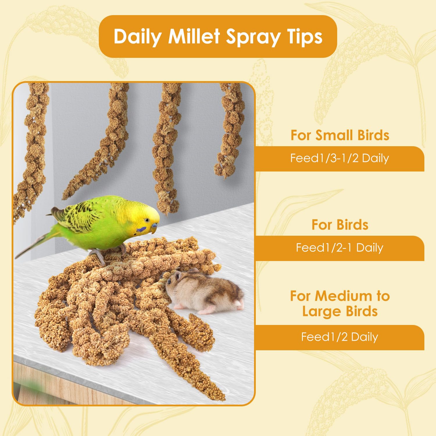 KATUMO bird snack setup with millet spray ready for enrichment and foraging.