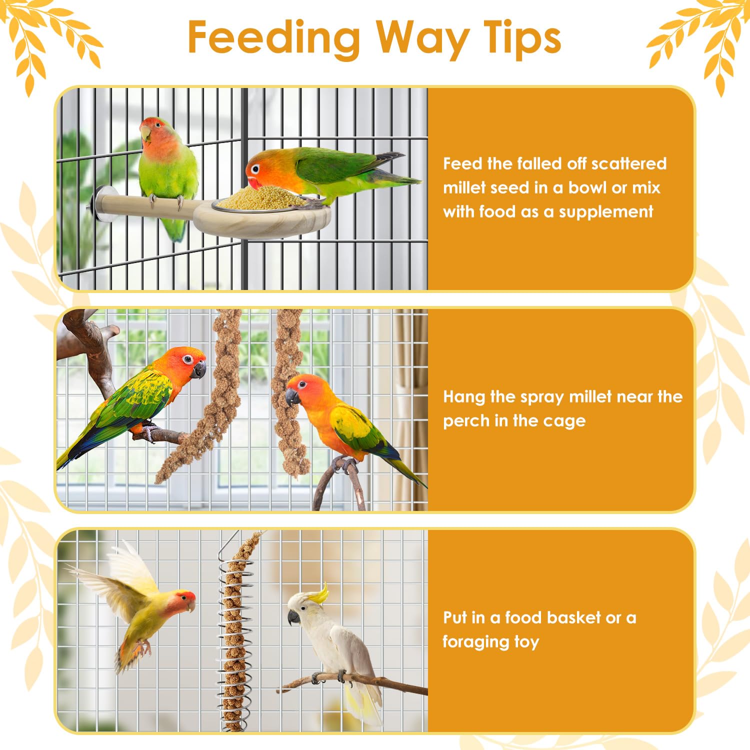 KATUMO training reward shot featuring millet spray for positive reinforcement.