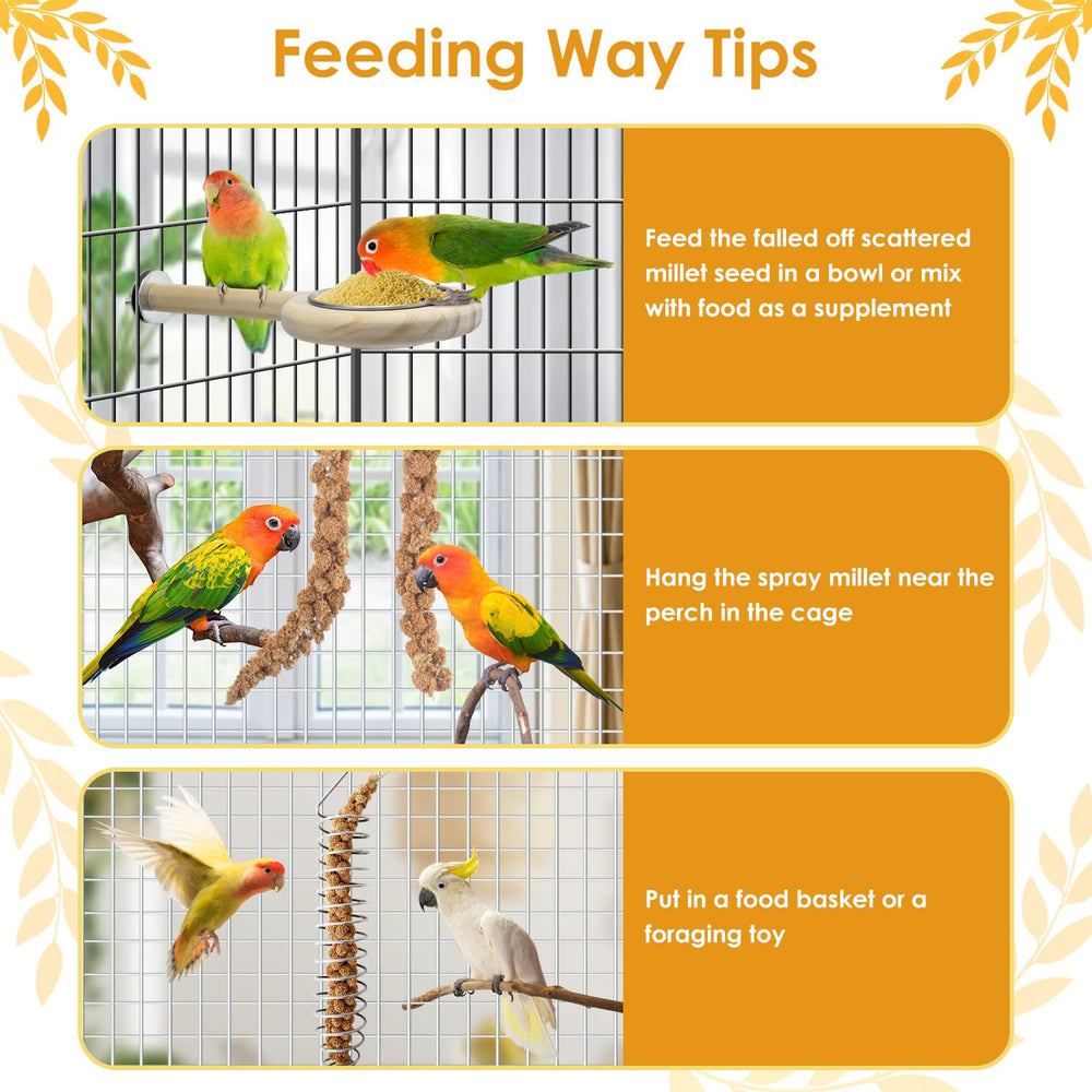 KATUMO training reward shot featuring millet spray for positive reinforcement.
