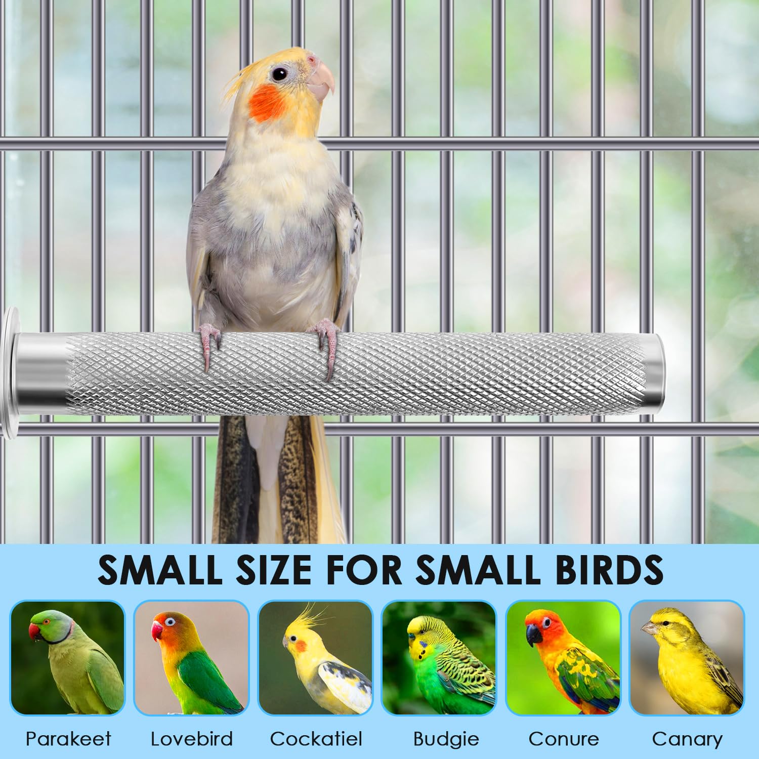 KATUMO stainless-steel perch withstands daily use in busy cages while staying shiny.
